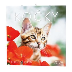 Kalendář Nástěnný kalendář - Kočky