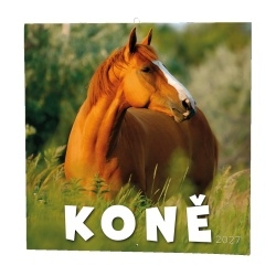 Kalendář Nástěnný kalendář - Koně